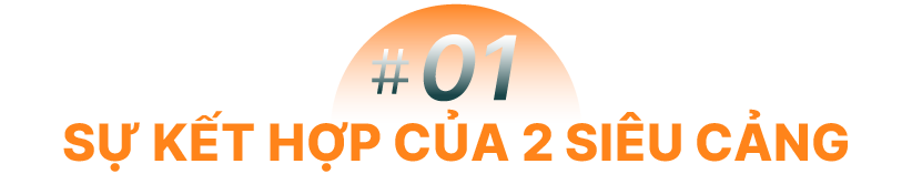Bài toán phát triển Cần Giờ - Vũng Tàu để TPHCM vươn ra biển - 2 Bài toán phát triển Cần Giờ - Vũng Tàu để TPHCM vươn ra biển - 2