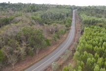 Tuyến đường độc đạo xuyên rừng nối Đồng Nai với Bình Phước