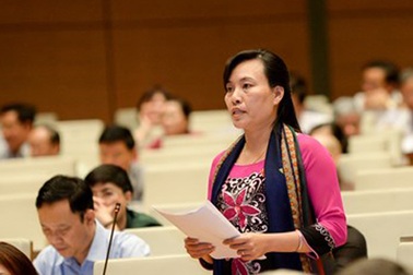 Phát hiện hàng loạt sai phạm trong quản lý nông, lâm trường