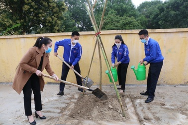 Phát động phong trào mỗi thanh thiếu nhi trồng mới và chăm sóc một cây xanh