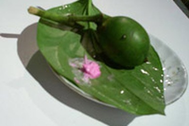 Công dụng của lá trầu không