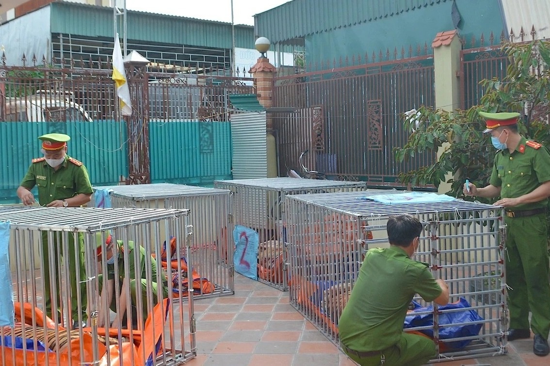 Vụ quot giải cứu quot 17 con hổ: Chồng của một chủ nuôi hổ là công an viên Vụ quot giải cứu quot 17 con hổ: Chồng của một chủ nuôi hổ là công an viên