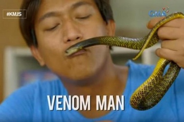 Cho rắn độc cắn hàng tuần để tăng cường miễn dịch