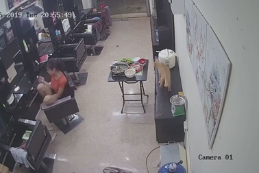 Tai nạn “cười ra nước mắt” khi nuôi chó mèo