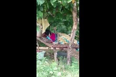 Đang nằm ngủ, người phụ nữ "đứng hình" khi bị rắn hổ mang trườn lên người