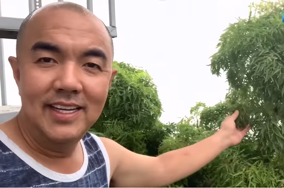 NSND Hồng Vân, Quốc Thuận khoe vườn nhà xum xuê cây trái để tránh dịch - 6