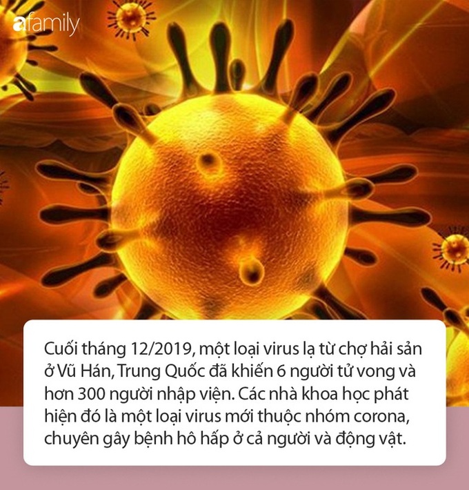 Virus corona mới đang di chuyển đến đâu? Tết này, người dân có cần phải lo lắng? - Ảnh 1.