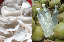 Nước dừa có giá 20.000 đồng/lít, ngày bán 500 chai: Nguồn gốc ở đâu?