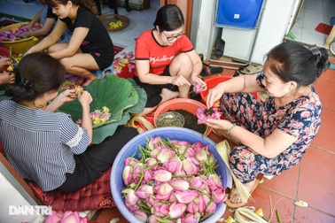 Gia đình Hà Nội 7 thập kỷ làm thứ trà hảo hạng, giá chục triệu/kg