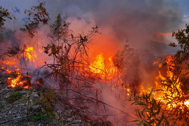 Cháy rừng, khu dân cư sát chân núi hoảng loạn
