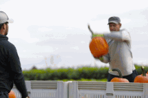 "Đột nhập" trang trại xem cách trồng những quả bí ngô Halloween