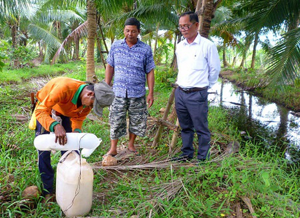 Trồng dừa chưa kịp ra trái đã hái được khối tiền ở Trà Vinh - 3 Trồng dừa chưa kịp ra trái đã hái được khối tiền ở Trà Vinh - 3