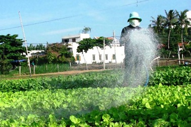 Ngọc Lãng biếc xanh