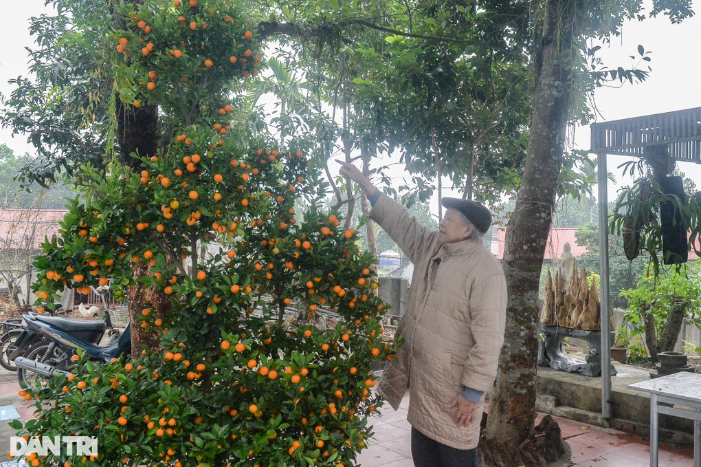 Chuyện tình sóng gió của cụ ông 96 tuổi với 4 người vợ - 2