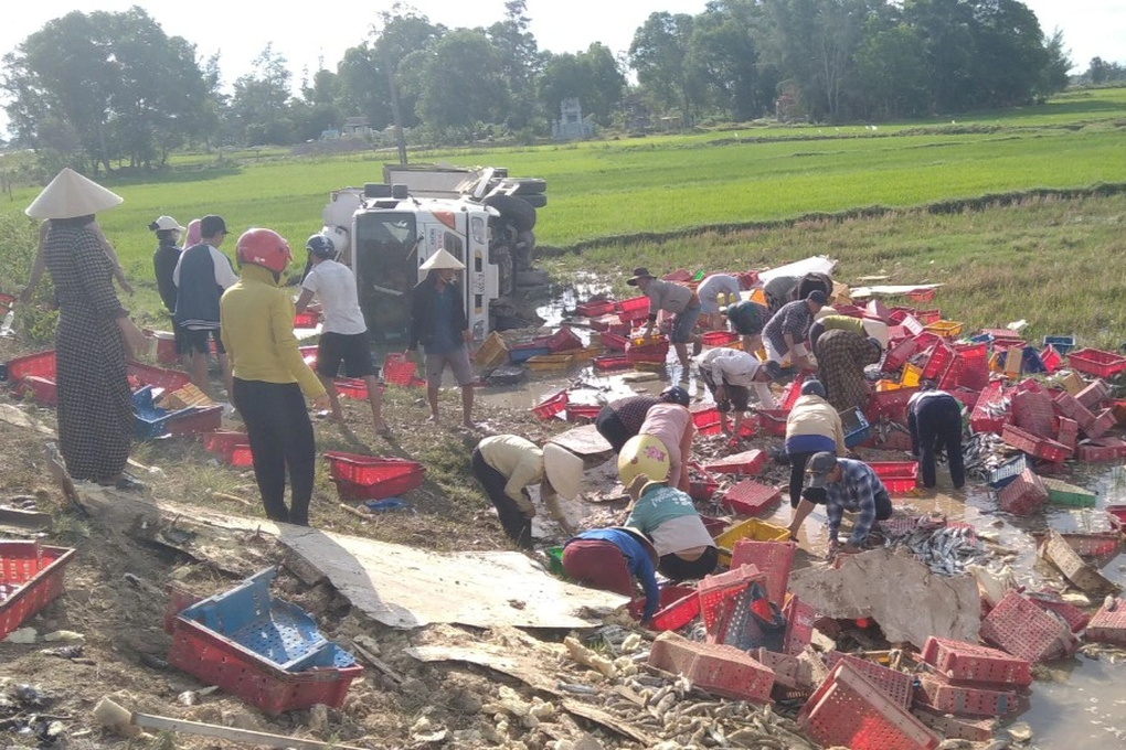 Xe tải bị lật, người dân lội bùn thu gom 5 tấn cá giúp tài xế - 1