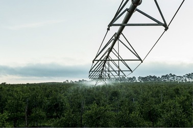 Khám phá công nghệ GPS tại các trang trại hữu cơ châu Mỹ