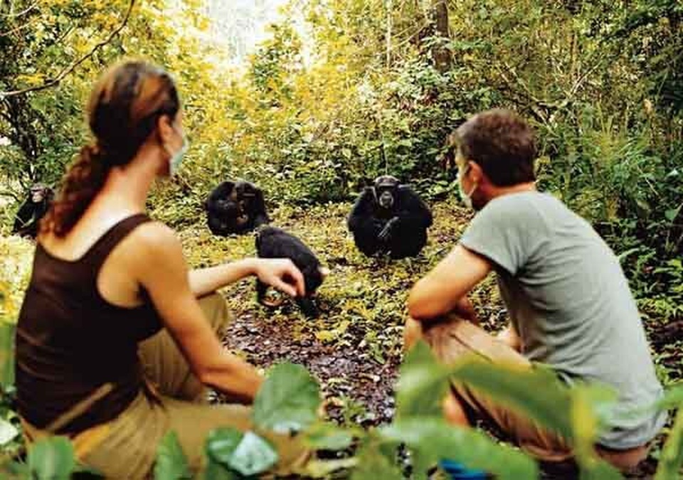 Các safari kỳ thú tiếp cận những “gã khổng lồ” hoang dã châu Phi - 5 Các safari kỳ thú tiếp cận những “gã khổng lồ” hoang dã châu Phi - 5