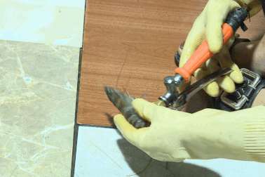 Hà Nội: Bắt quả tang cơ sở bơm tạp chất vào tôm để kiếm lời