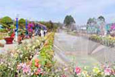 50 tỉ đồng cho Festival Hoa Đà Lạt 2005