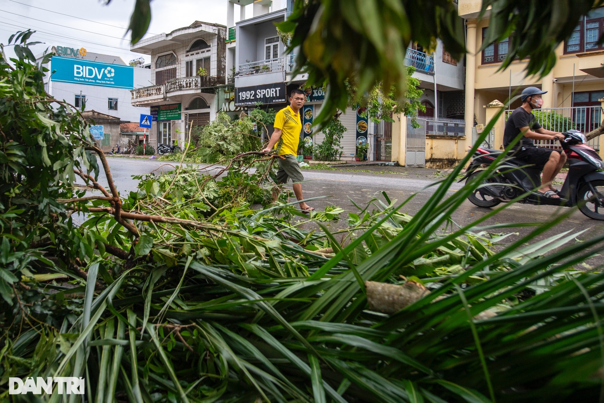Người phụ nữ thoát chết khi mái tôn tầng 2 đổ ập xuống trước cửa nhà - 3 Người phụ nữ thoát chết khi mái tôn tầng 2 đổ ập xuống trước cửa nhà - 3