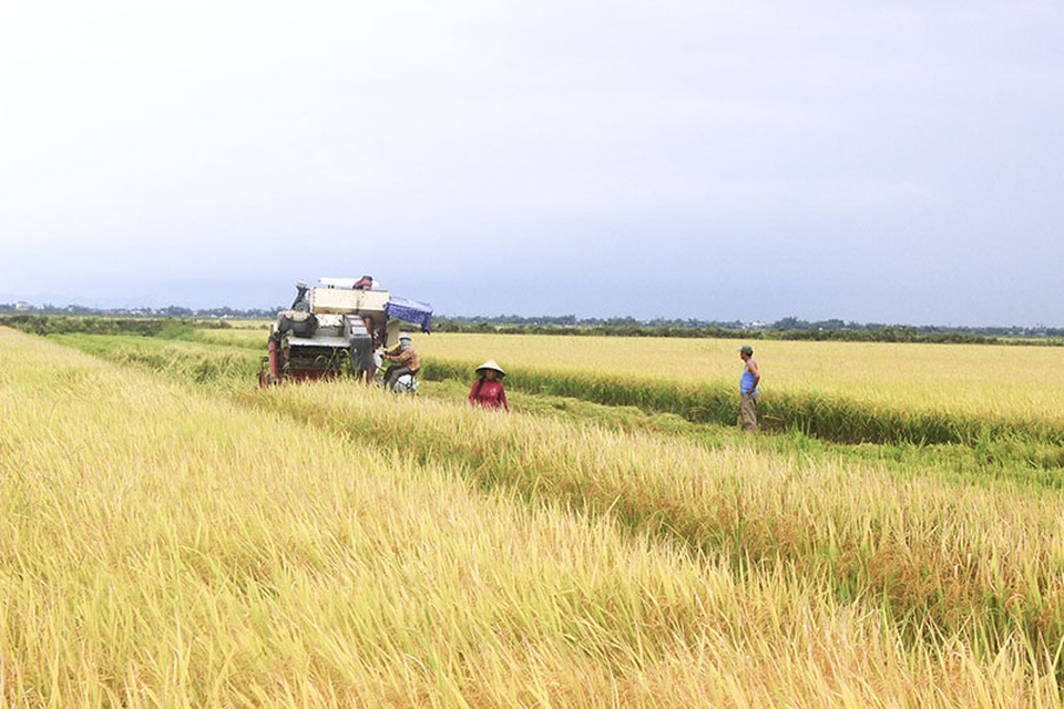 Nơi ra đời chi bộ Đảng đầu tiên tại Quảng Trị - 5 Nơi ra đời chi bộ Đảng đầu tiên tại Quảng Trị - 5