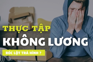 "Thực tập không lương" hay một hình thức bóc lột sức lao động trá hình?