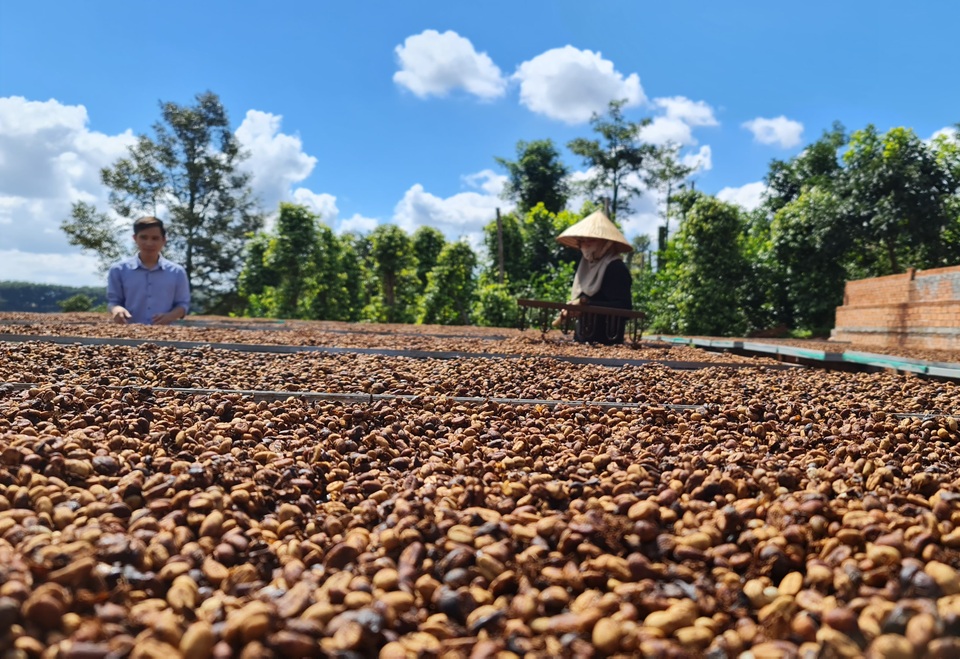 Thiếu giảng viên đào tạo nghề trong lĩnh vực nông nghiệp - 3 Thiếu giảng viên đào tạo nghề trong lĩnh vực nông nghiệp - 3