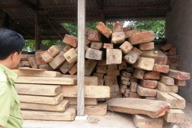 Một cán bộ kiểm lâm bị đánh trọng thương tại trạm kiểm soát