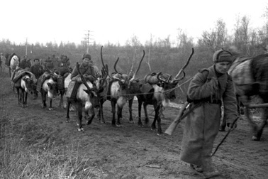 Tiểu đoàn xe tuần lộc: Những người hùng thầm lặng của Hồng quân Liên Xô