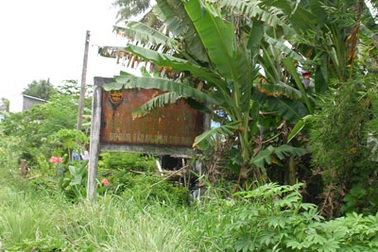 Chùm ảnh: Lại những tấm biển “đánh đố” người đọc