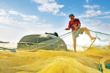 Một ngày ra khơi hái lộc biển