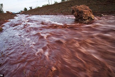 Về kiến nghị dừng các dự án Bô xít ở Tây Nguyên...
