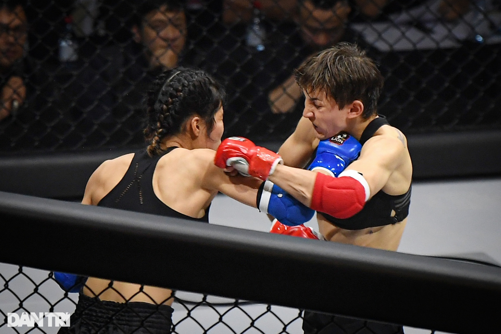Bóng hồng Hungary hạ knock-out võ sĩ Việt Nam trong ngày khai màn MMA 2023 - 5 Bóng hồng Hungary hạ knock-out võ sĩ Việt Nam trong ngày khai màn MMA 2023 - 5