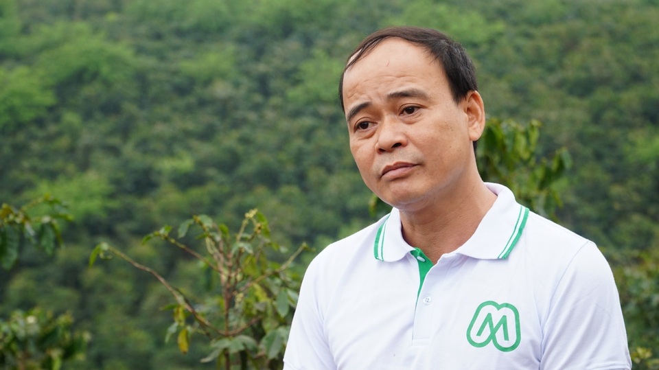 Người đàn ông bỏ phố về quê, dành trọn tình yêu cho hạt cà phê Sơn La - 5 Người đàn ông bỏ phố về quê, dành trọn tình yêu cho hạt cà phê Sơn La - 5