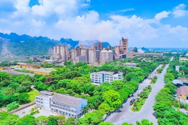 VICEM Hà Tiên và những đóng góp vào ngành xi măng Việt Nam