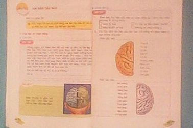 Yêu cầu HS lớp 2 nhớ tên 5 hoa hậu thế giới