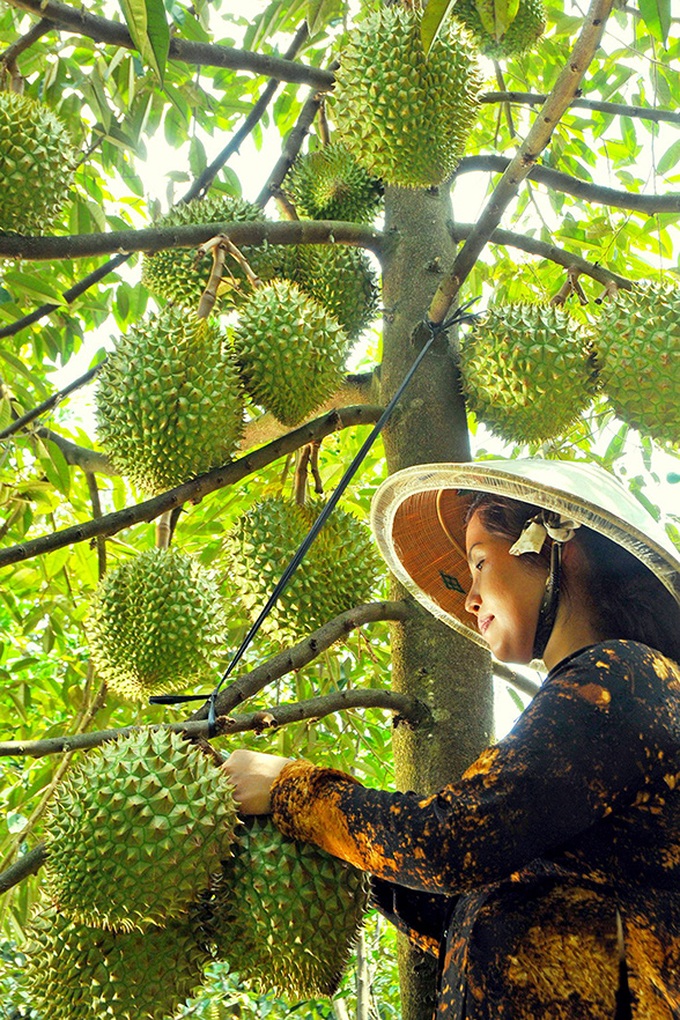 Giảm nghèo là &quot;chìa khóa&quot; để nâng cao mức sống người dân tại Tiền Giang - Ảnh 1.