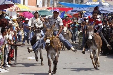 Lễ hội tôn vinh những chú lừa ở Mexico