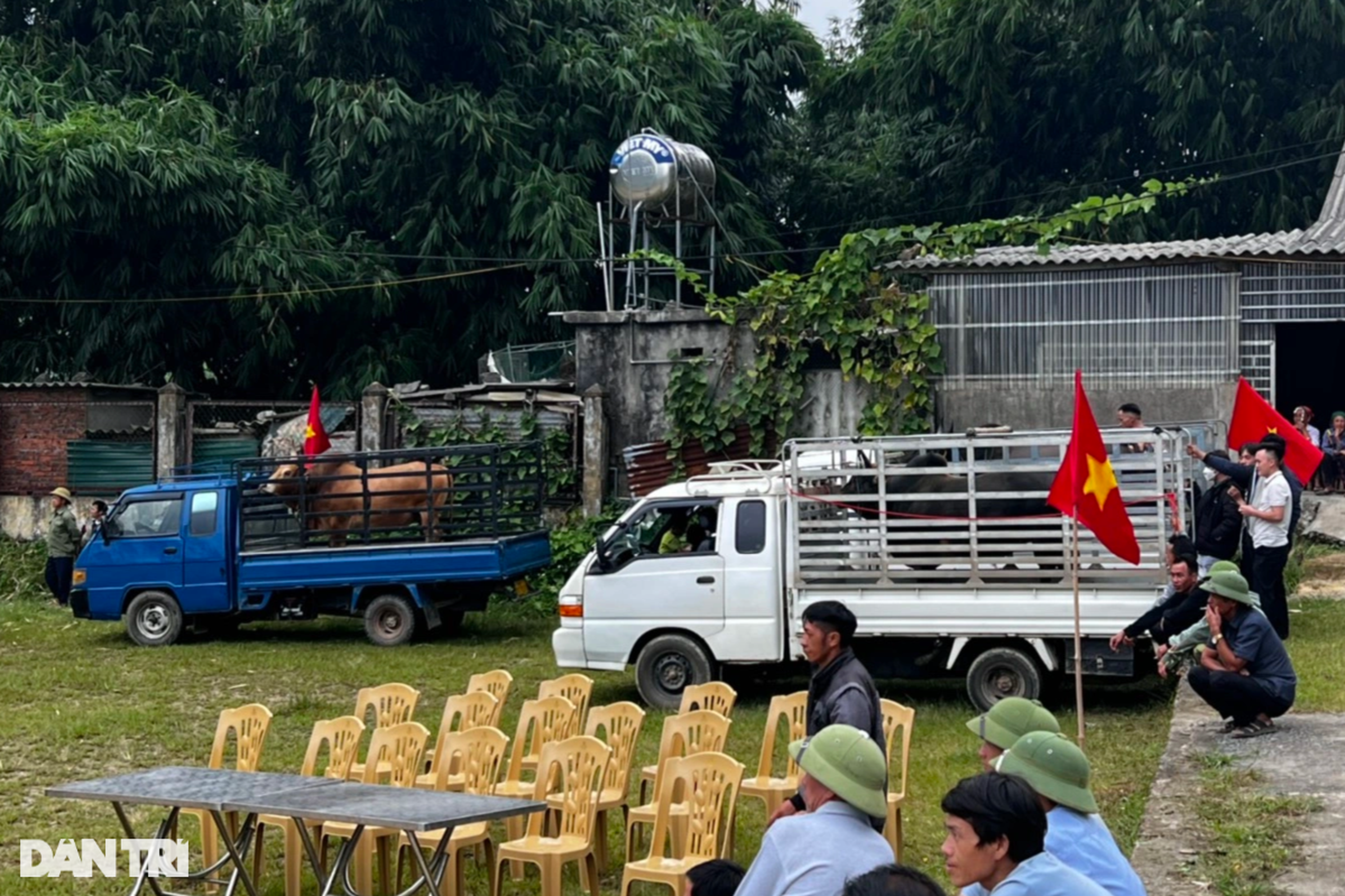 Độc đáo lễ hội chọi bò có truyền thống gần 100 năm ở vùng biên Nghệ An - 2 Độc đáo lễ hội chọi bò có truyền thống gần 100 năm ở vùng biên Nghệ An - 2