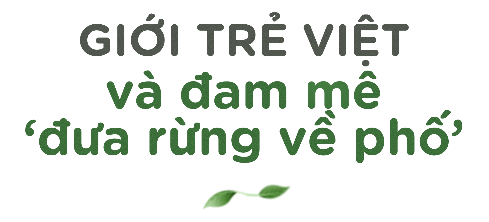 Giới trẻ Việt và hành trình trải xanh Việt Nam - 1 Giới trẻ Việt và hành trình trải xanh Việt Nam - 1