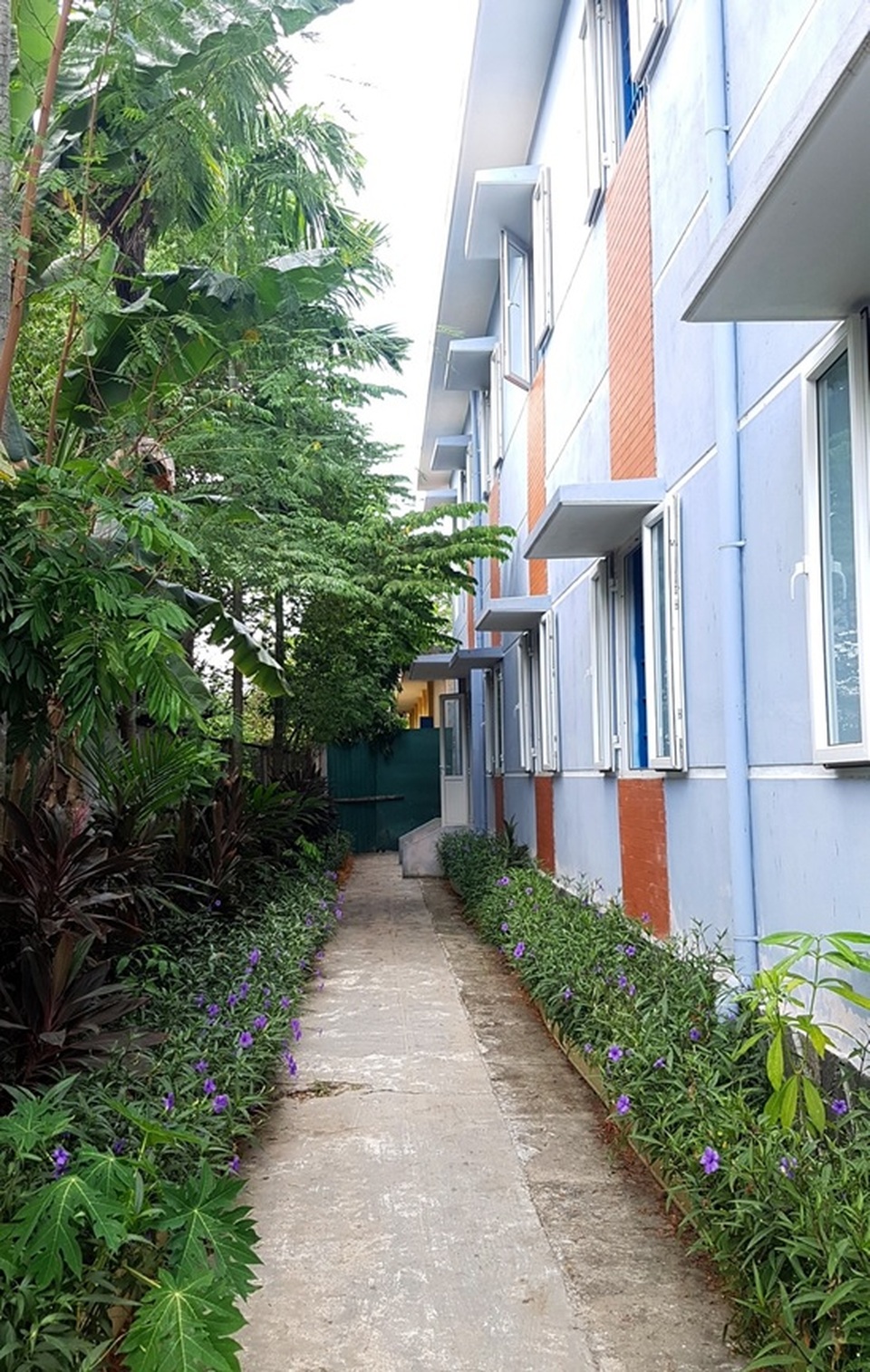“Nhà dưỡng lão” tiện nghi cho người già không có người chăm sóc tại Huế - 6 “Nhà dưỡng lão” tiện nghi cho người già không có người chăm sóc tại Huế - 6