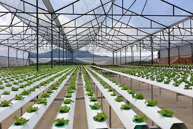 Bộ trưởng Nguyễn Xuân Cường: Kiểm tra trên 9140 mẫu ở các cơ sở giết mổ, không còn phát hiện chất cấm salbutamol