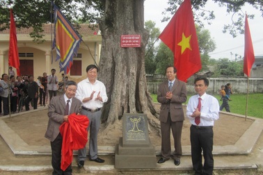 Vinh danh Cây Di sản cho cụm cây Kơ nia trăm năm tuổi