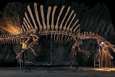 Lần đầu tiên phát hiện khủng long biết bơi