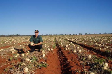 Ông tiến sĩ bỏ xe hơi, nhà lầu vì rau quả Việt 