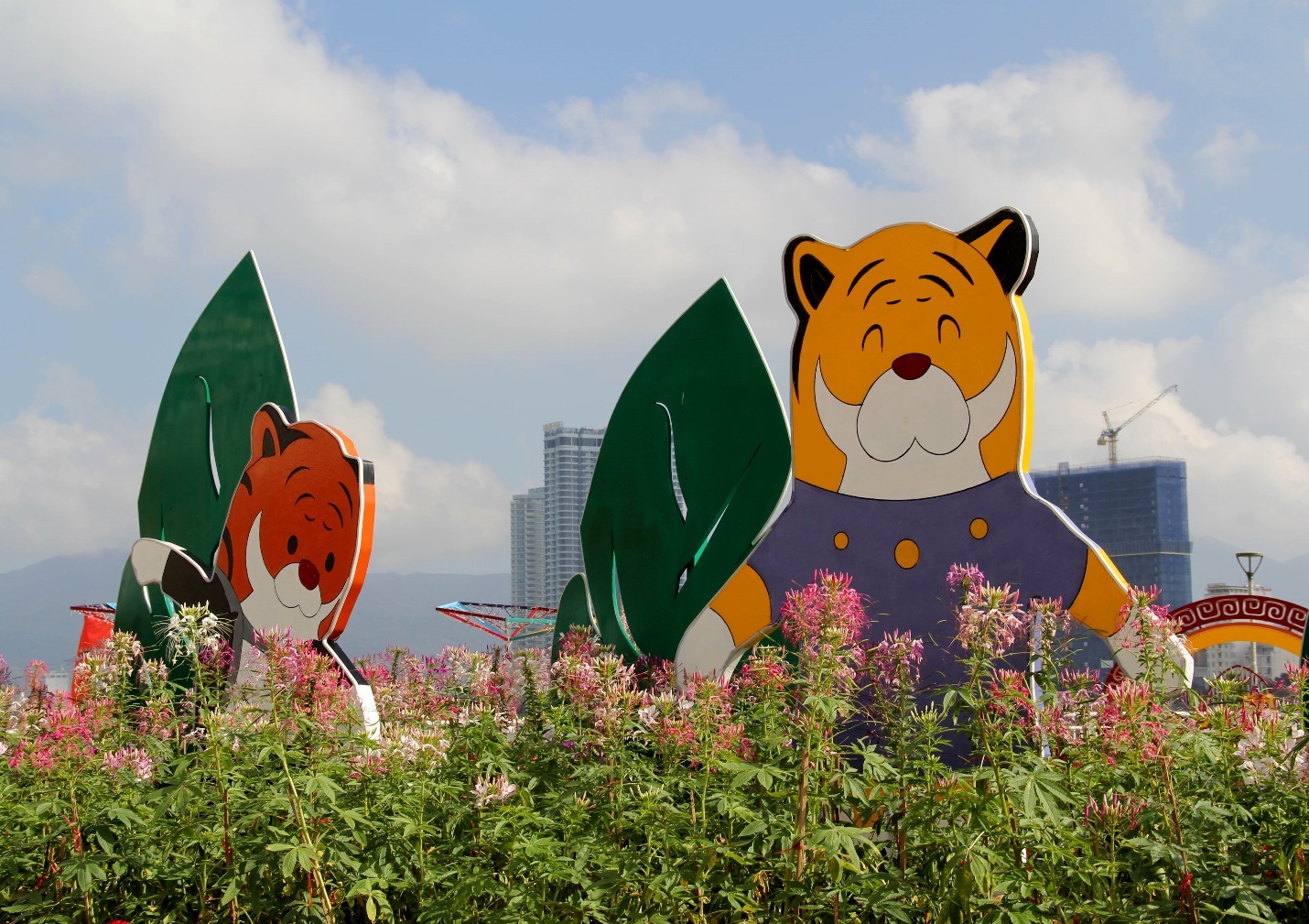 Đàn hổ đủ màu sắc xuống đường hoa Đà Nẵng - 6 Đàn hổ đủ màu sắc xuống đường hoa Đà Nẵng - 6