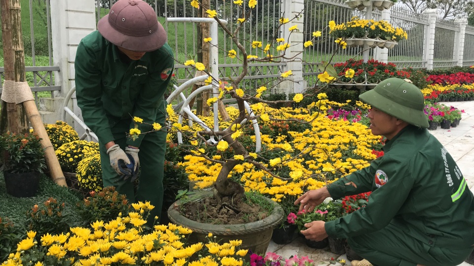 Ấn tượng những đường hoa rực rỡ sắc màu đón Tết ở thành Vinh  - 2