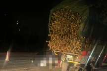 Xe máy đâm đuôi ô tô tải, 2 thanh niên tử vong