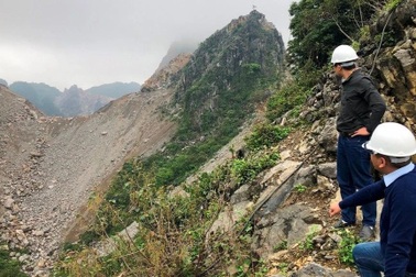 Bức tử rừng, doanh nghiệp vẫn được... "nâng niu"!