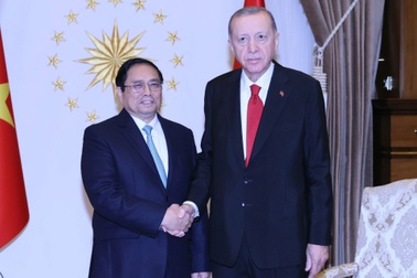 Việt Nam đóng góp 500.000 USD cứu trợ người Palestine tại dải Gaza